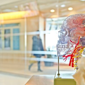 Neurologie